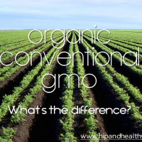 Organic/Conventional/GMO food - What's the Difference?